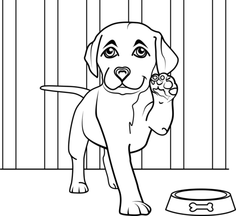 Labrador Puppy Coloring Page